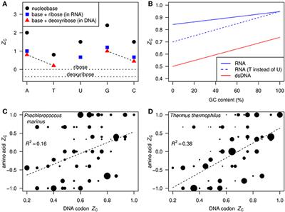 Changes in Carbon Oxidation State of Metagenomes Along Geochemical Redox Gradients